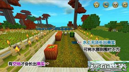 迷你世界小岛吃瓜