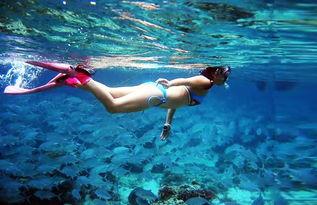 吃瓜潜水成员,揭秘娱乐圈背后的神秘力量