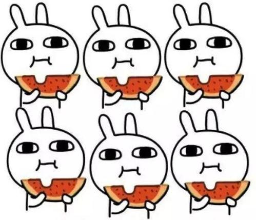 吃瓜括号,吃瓜群众视角下的娱乐圈风云