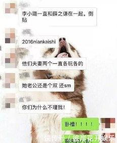吃瓜亮亮,揭秘娱乐圈幕后故事