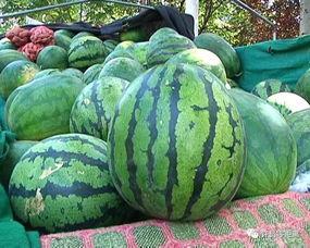 反被吃瓜,揭秘网络舆论的奇妙反转