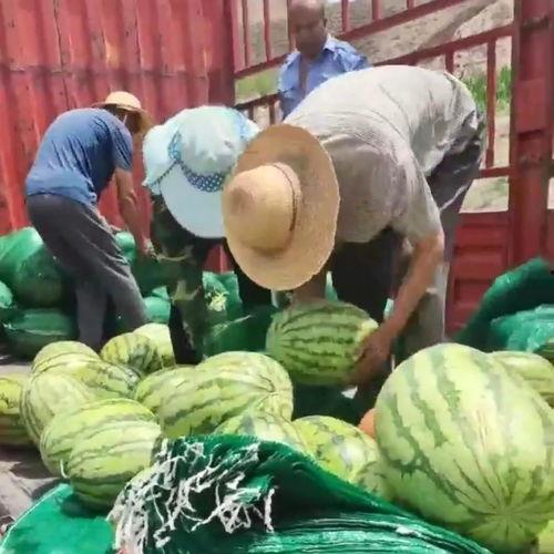 北海吃瓜群众,揭秘当地生活百态