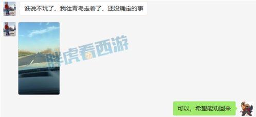 涛哥在线吃瓜,揭秘娱乐圈幕后故事