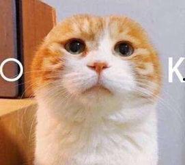 手机上吃瓜表情啥意思,揭秘网络社交中的趣味与讽刺