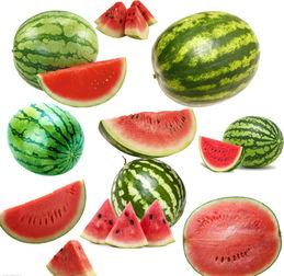 南交院吃瓜,校园生活趣味瞬间大揭秘