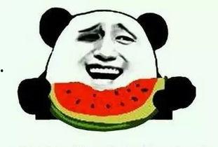 零零后的吃瓜,揭秘网络时代的“瓜界风云”