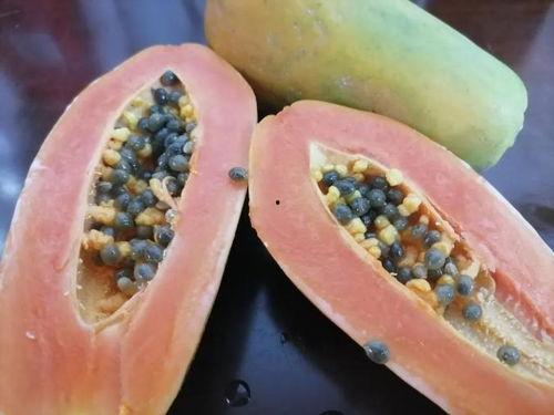 做梦吃瓜很好吃,一梦吃瓜，美味难挡