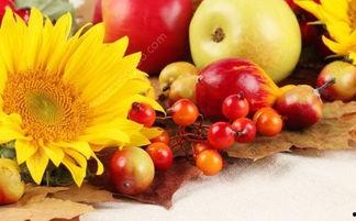 秋天吃酉瓜好吗,酉瓜的食疗益处与食用建议