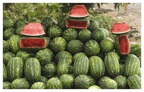 转身吃瓜,揭秘娱乐圈背后的故事与真相