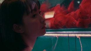 吃瓜少女948,网络红人的崛起之路